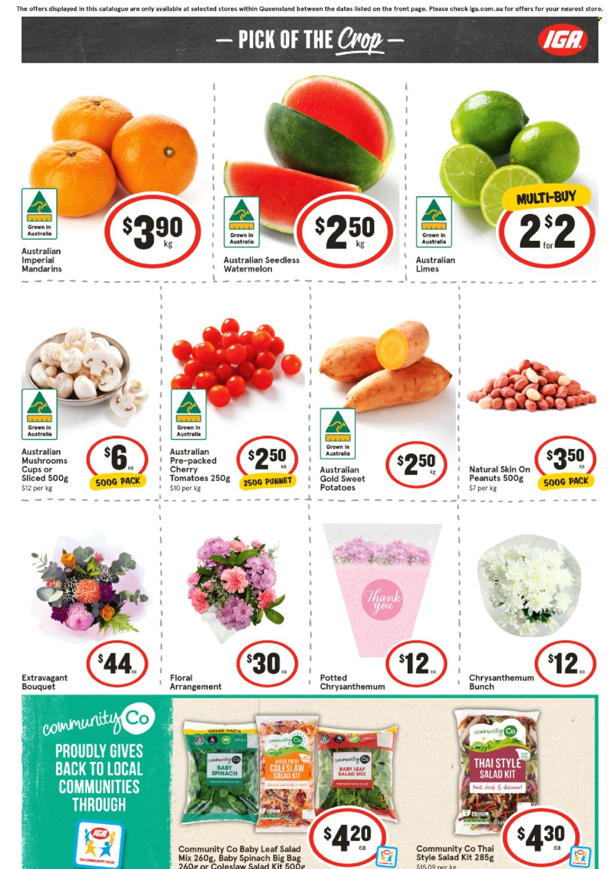 IGA catalogue - 7.5.2025 - 13.5.2025.