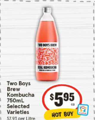 Two Boys Brew Kombucha 750mL Selected Varieties