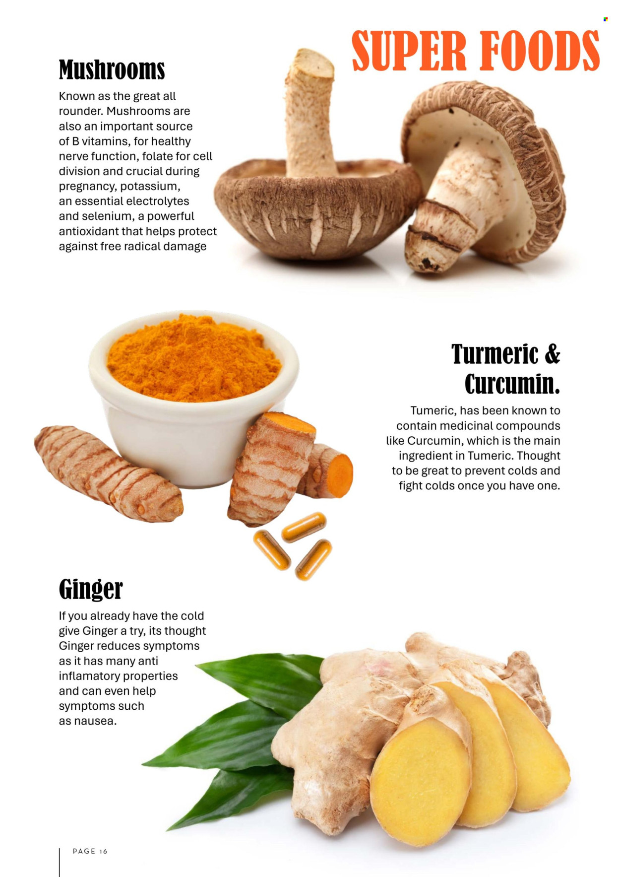 Foodworks catalogue - 1.6.2025 - 31.7.2025. Page 16