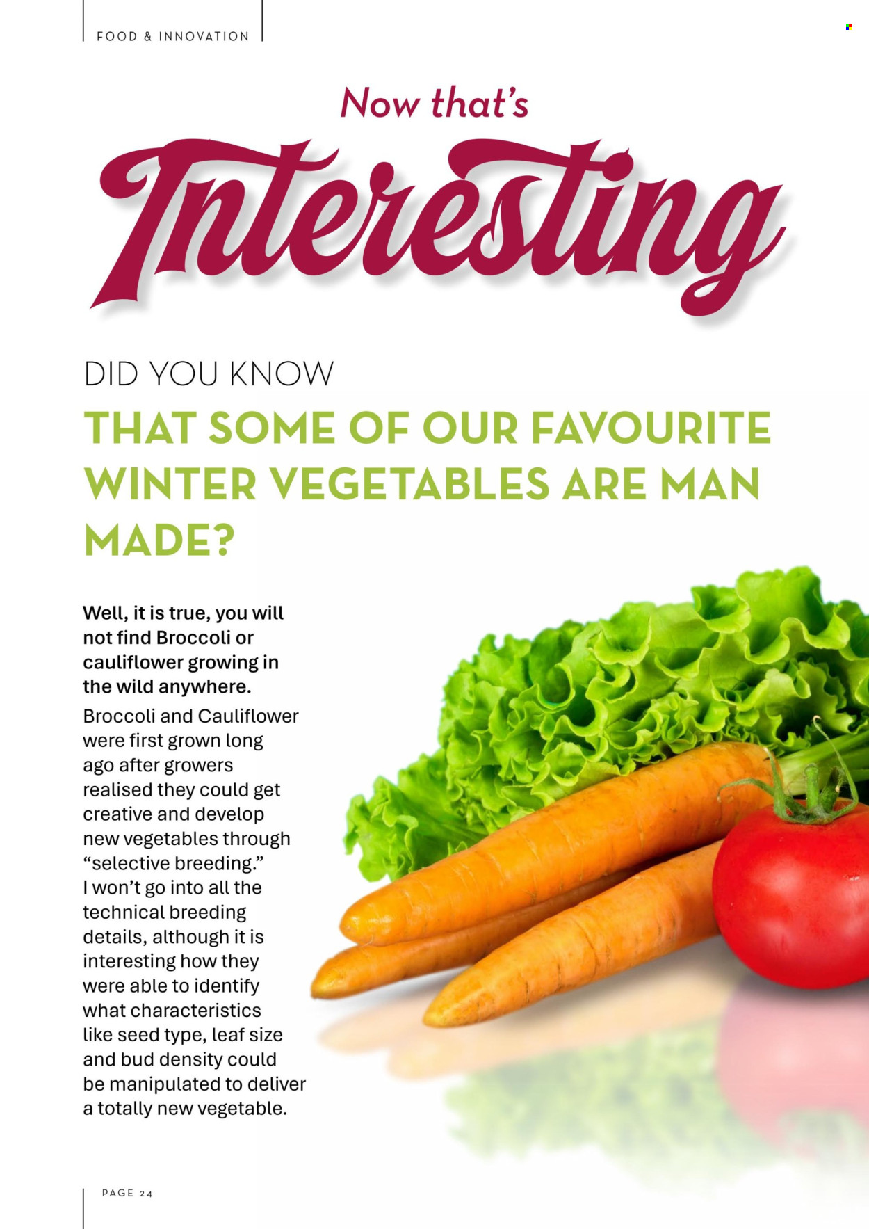 Foodworks catalogue - 1.6.2025 - 31.7.2025. Page 24
