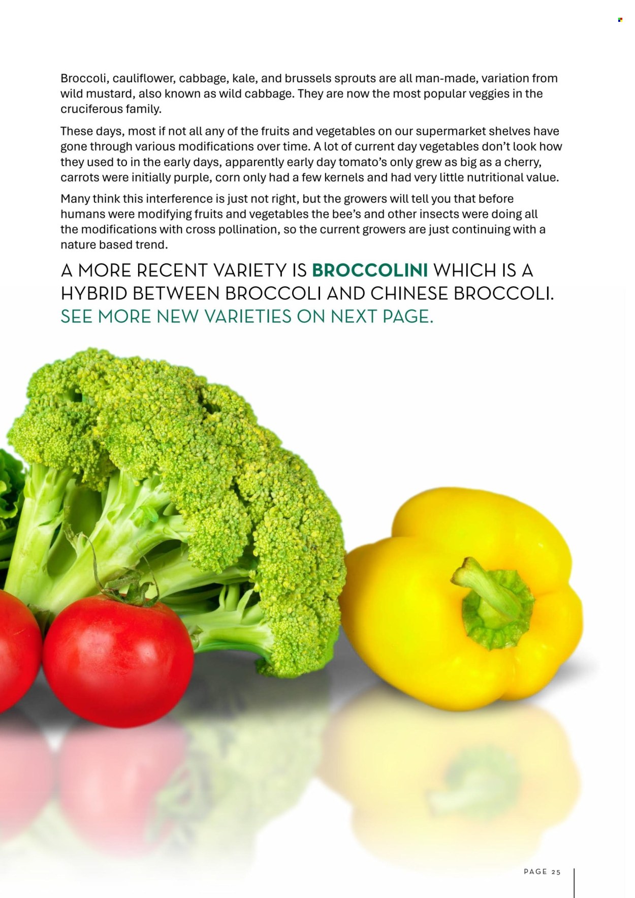 Foodworks catalogue - 1.6.2025 - 31.7.2025. Page 25