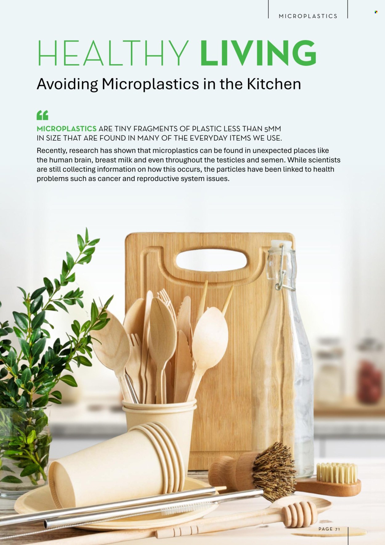 Foodworks catalogue - 1.6.2025 - 31.7.2025. Page 71