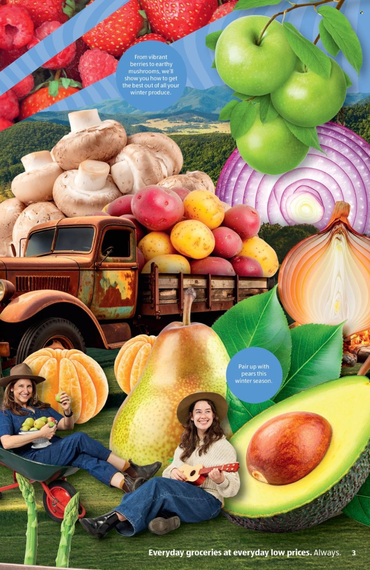 ALDI catalogue - 1.6.2026 - 31.8.2026. Page 3