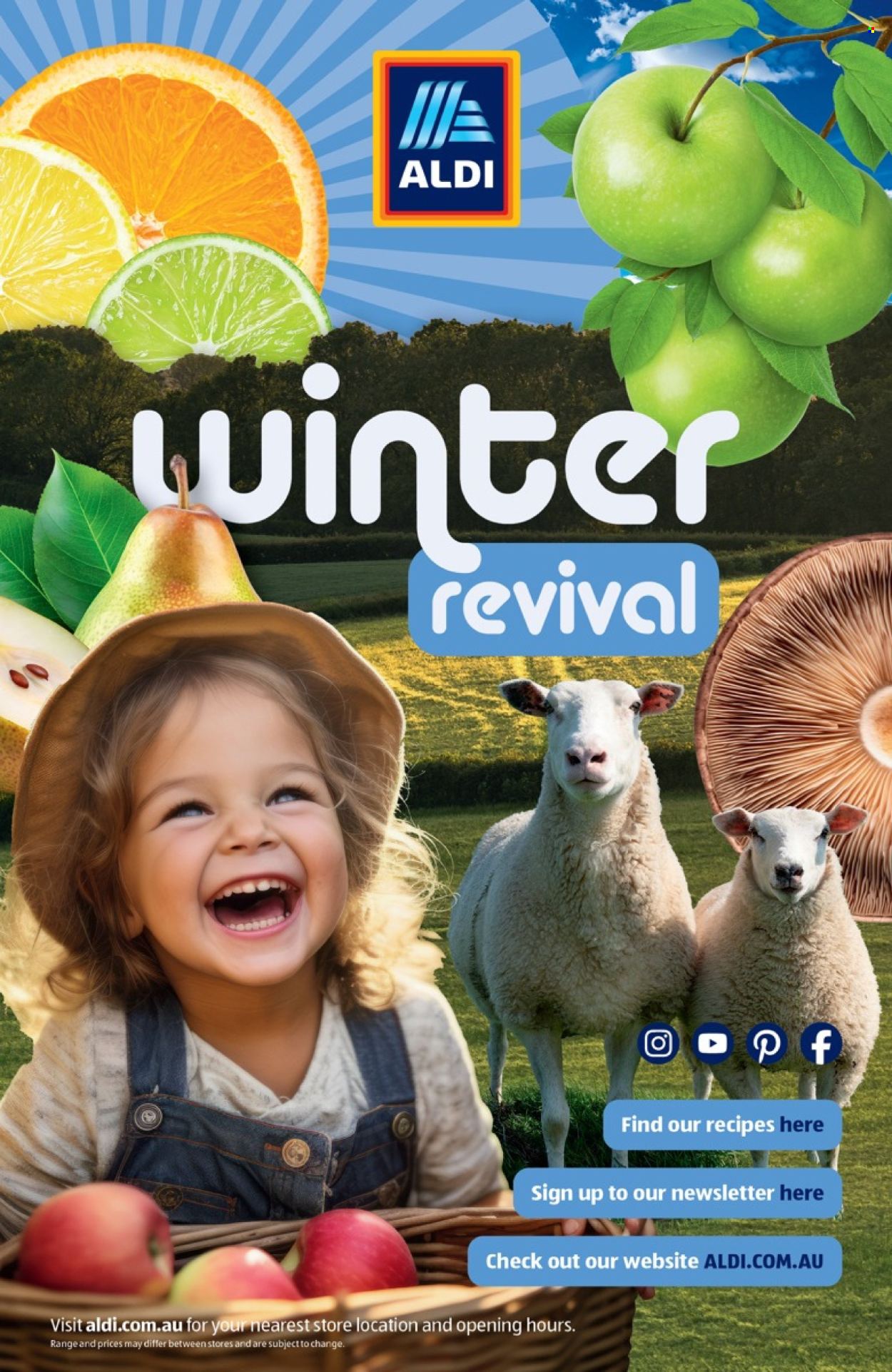 ALDI catalogue - 1.6.2026 - 31.8.2026. Page 10