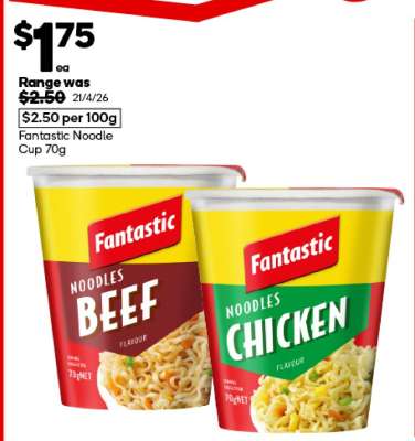 Fantastic Noodle Cup 70g