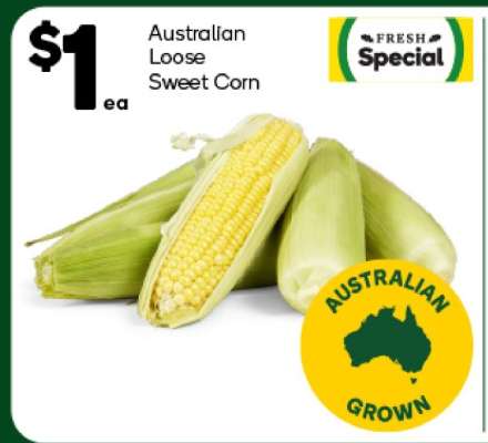 Australian Loose Sweet Corn