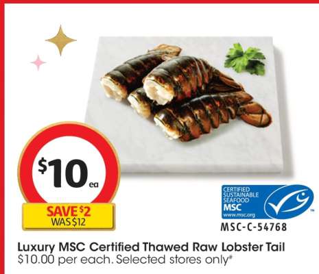 Luxury MSC Certified Thawed Raw Lobster Tail