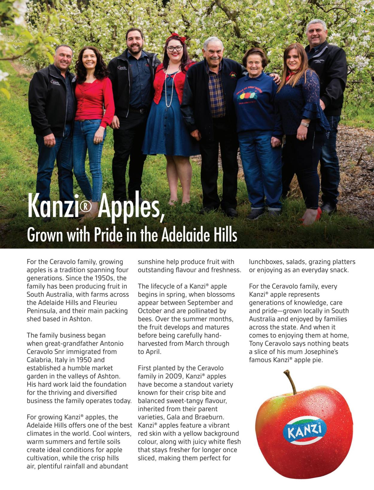 Foodland catalogue. Page 13