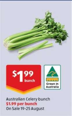Australian Celery Bunch