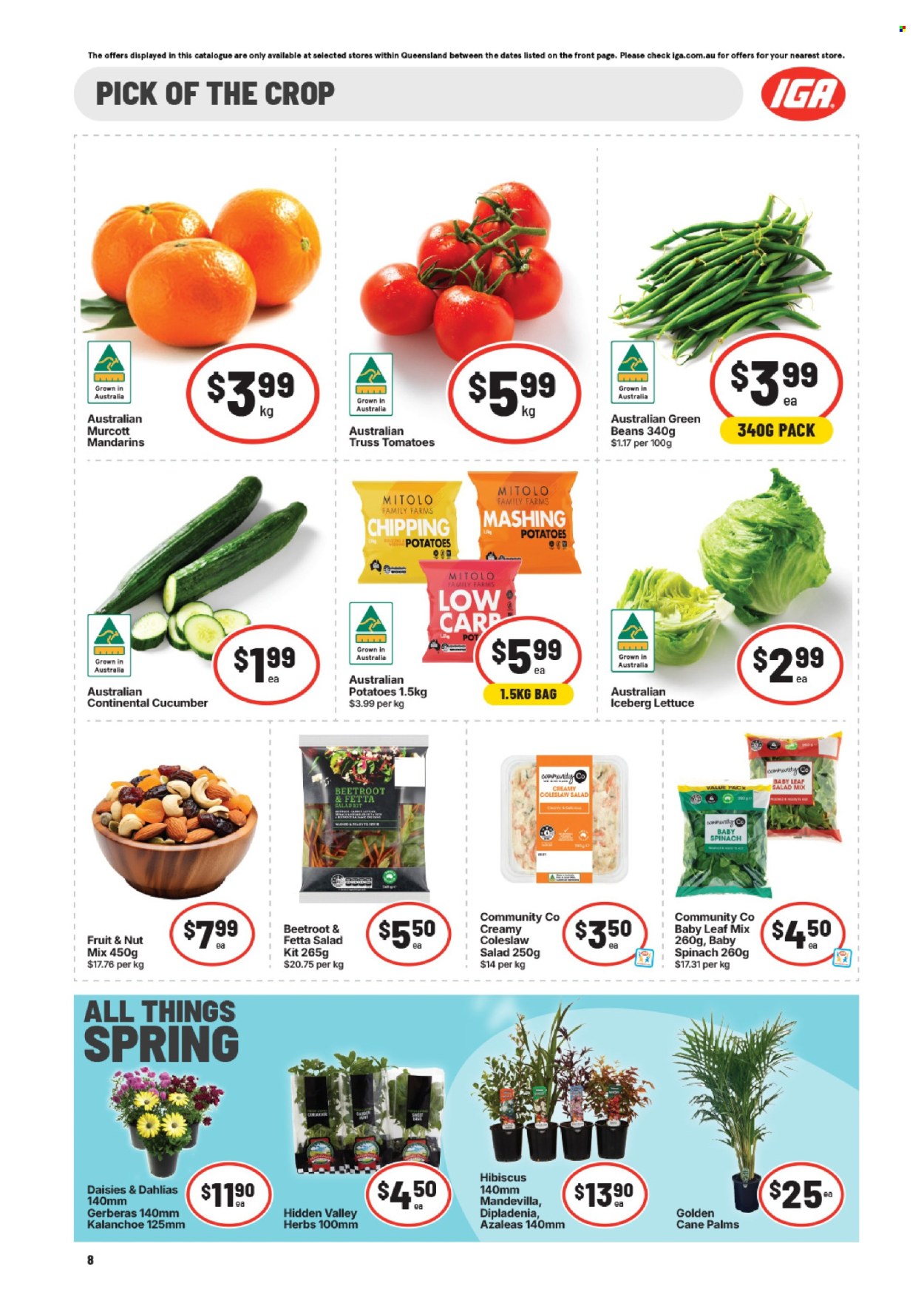 IGA catalogue - 26.8.2026 - 1.9.2026. Page 9