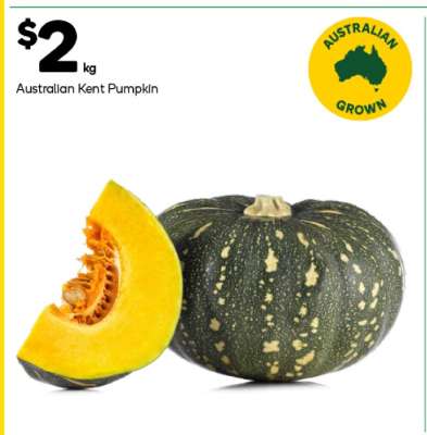 Australian Kent Pumpkin
