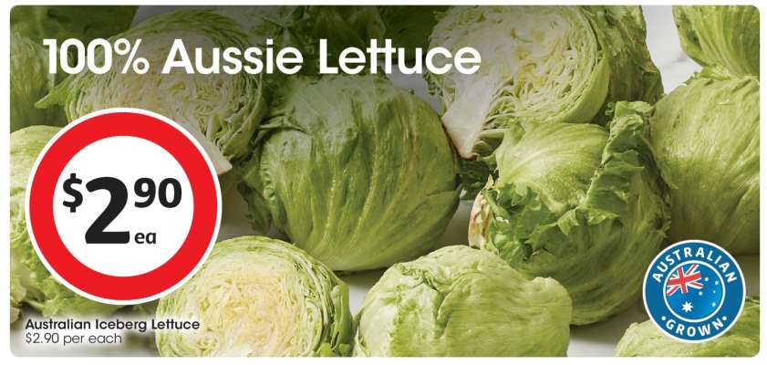 Australian Iceberg Lettuce