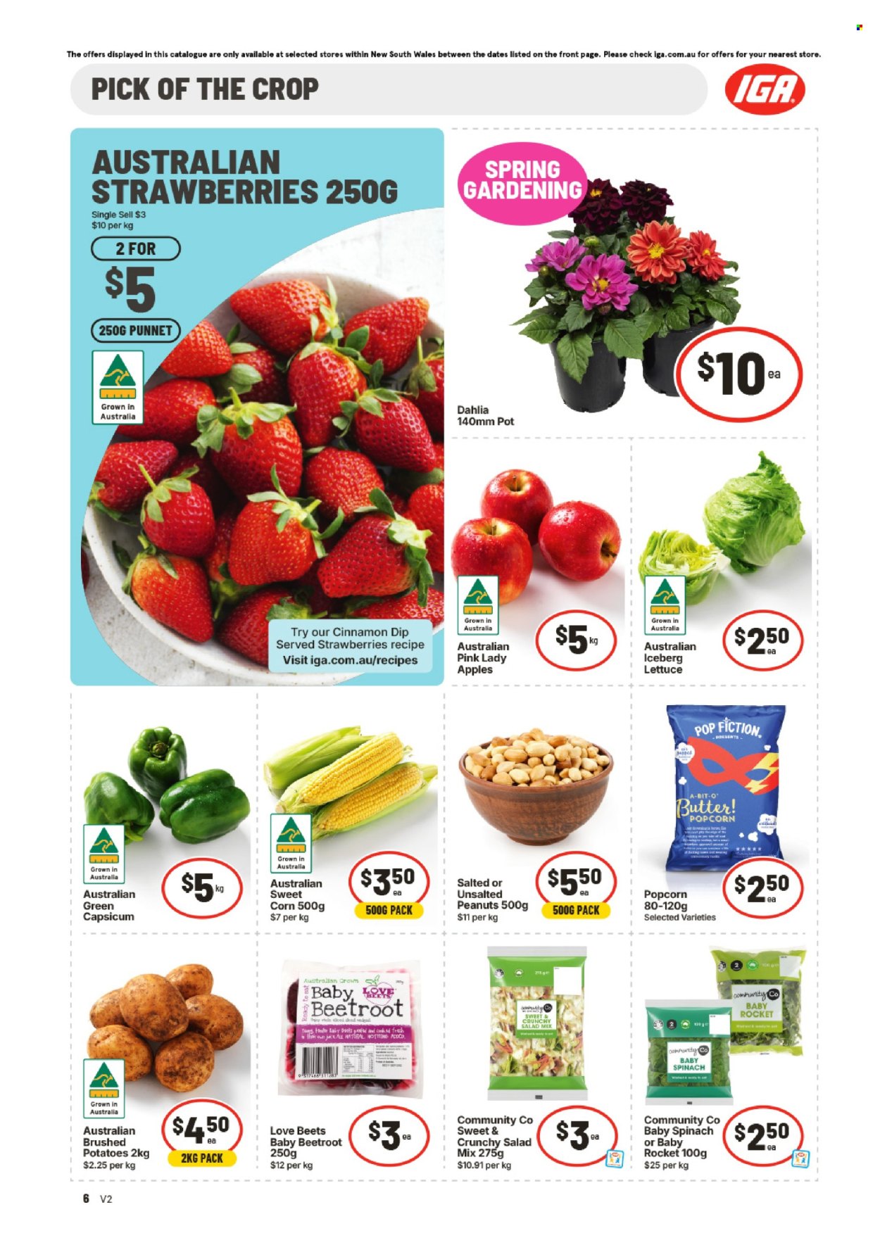 IGA catalogue - 9.9.2026 - 15.9.2026. Page 7