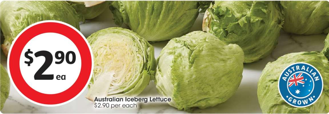Australian Iceberg Lettuce