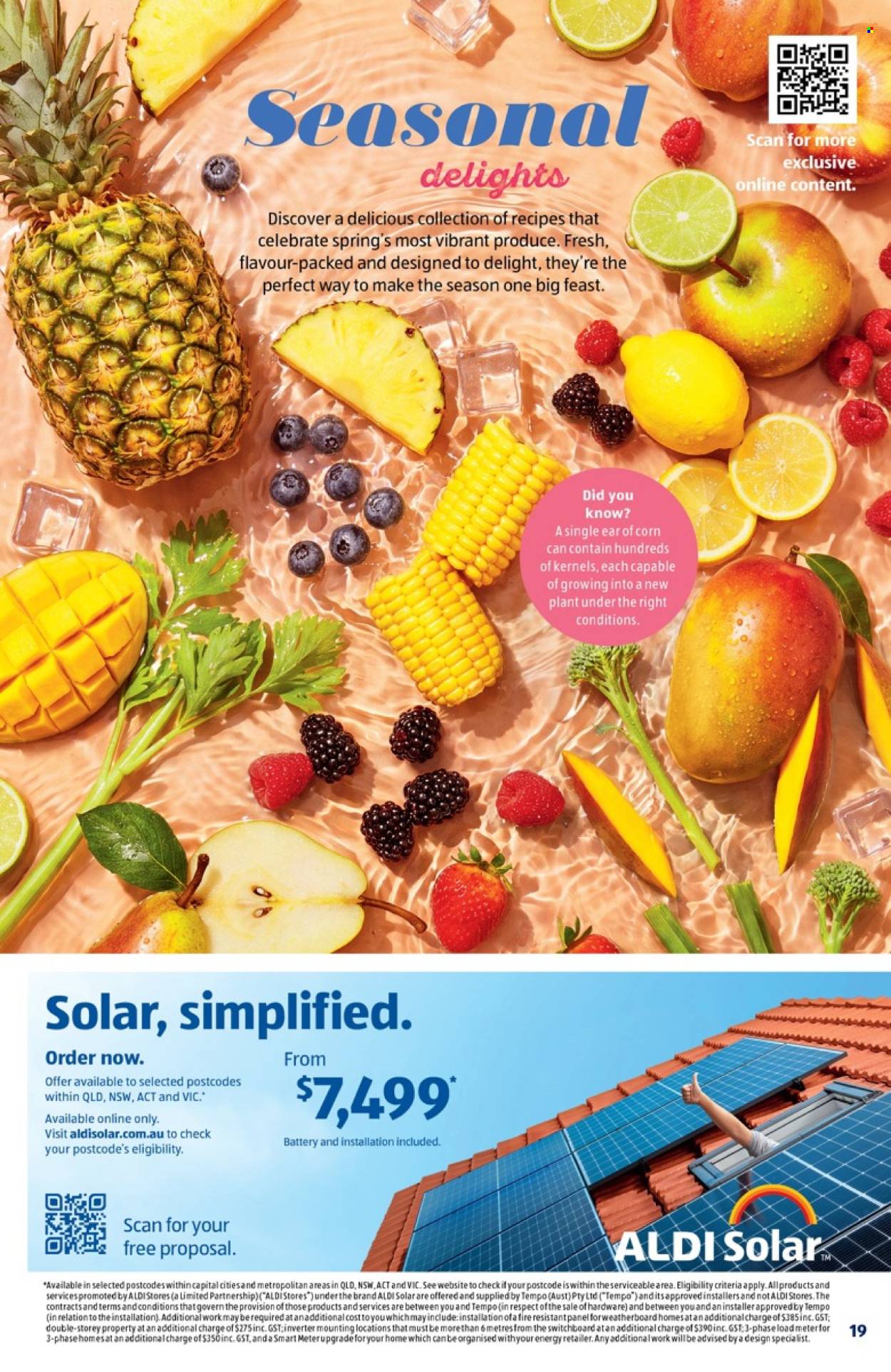 ALDI catalogue - 16.9.2026 - 22.9.2026. Page 19