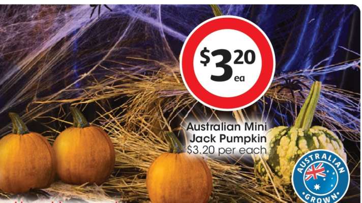 Australian Mini Jack Pumpkin