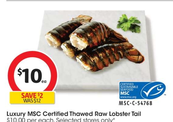 Luxury MSC Certified Thawed Raw Lobster Tail