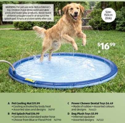 Pet Splash Pad
