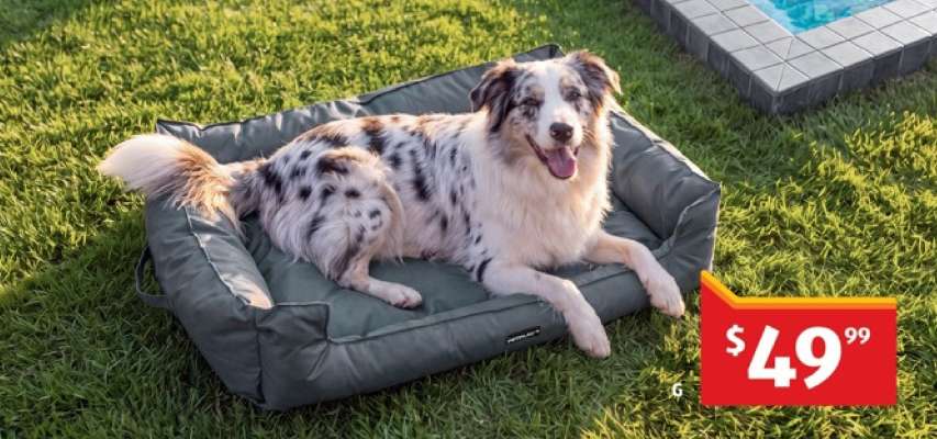 Dog Bed
